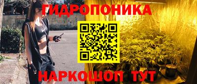 дживик Шелехов