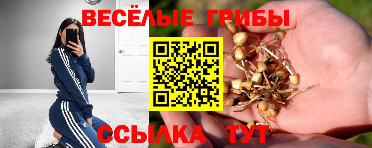 Галлюциногенные грибы GOLDEN TEACHER Мурманск