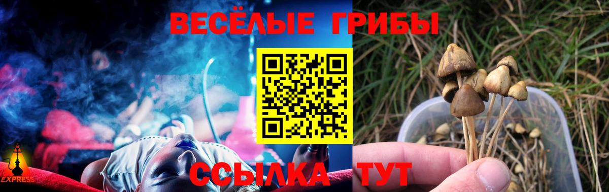 Псилоцибиновые грибы прущие грибы  Вход с VPN  наркота  Мурманск 